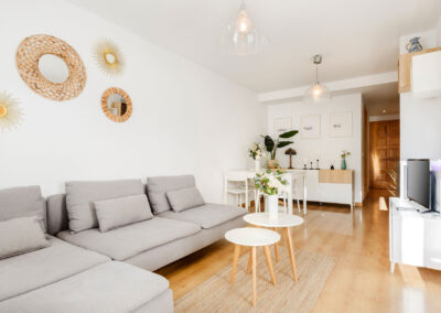 Apartamento Montaña y Esquí Abi Villanúa