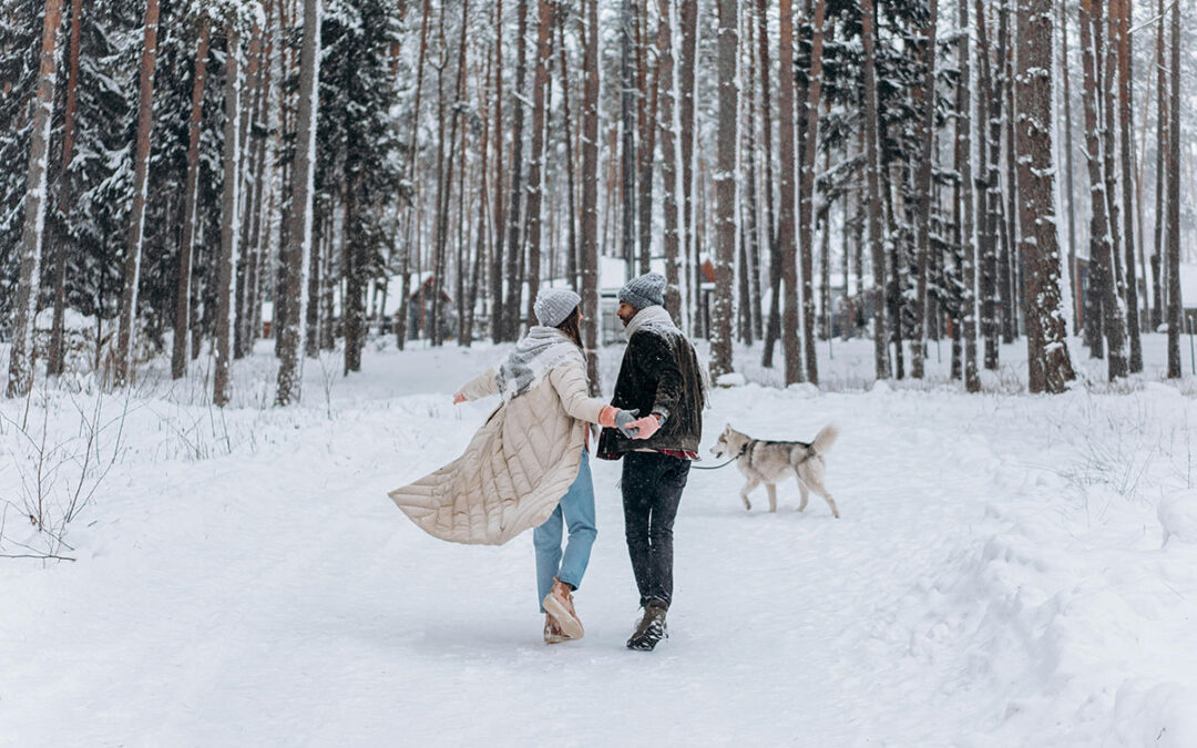 Alojamientos petfriendly en el Pirineo: vive tu escapada con la mejor compañía