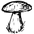 Micologia Micologia