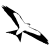 Ornitologia Ornitologia